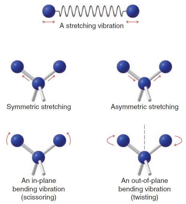 Vibrations of Molecules